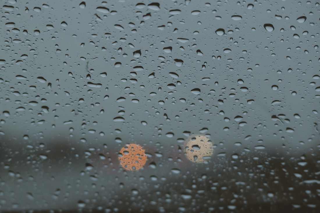 Prato Madeira com Haste Dourada M